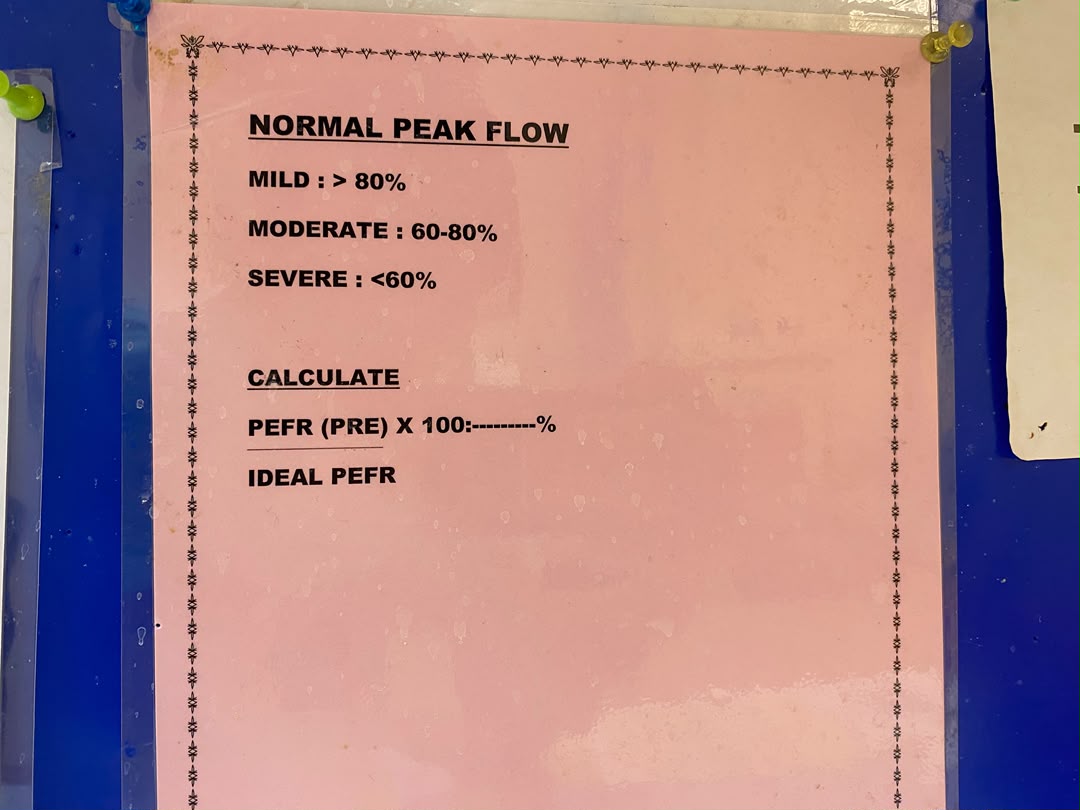 Carta interpretasi PEFR